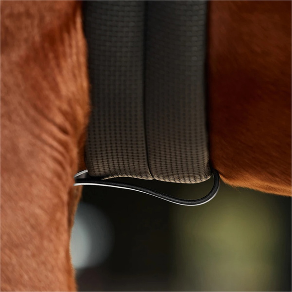 2026 Dublin 3-Point Breastplate 1031504 - Black
